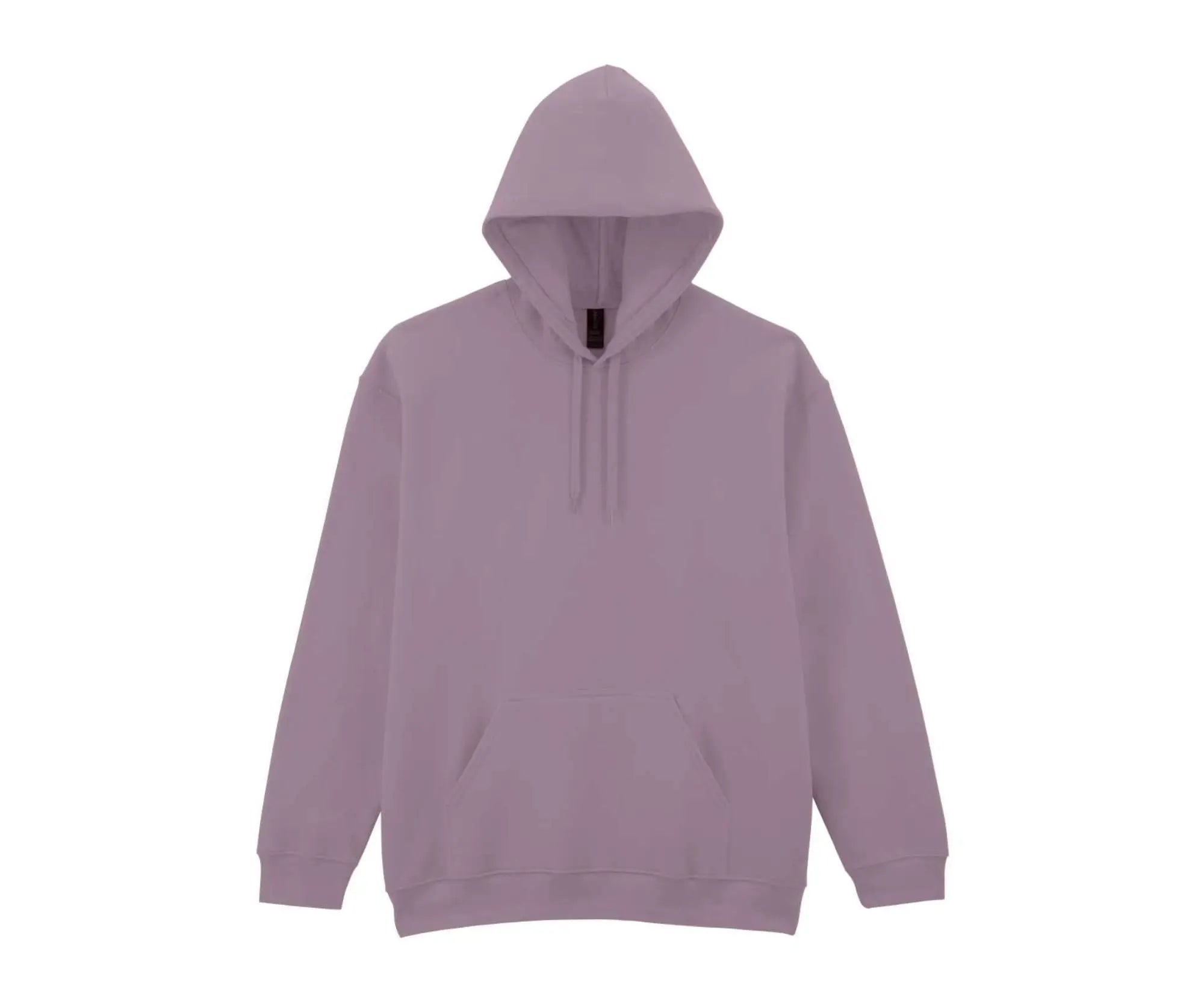 GISF500 | Softstyle® Midweight Fleece Adult Hoodie Paragon
