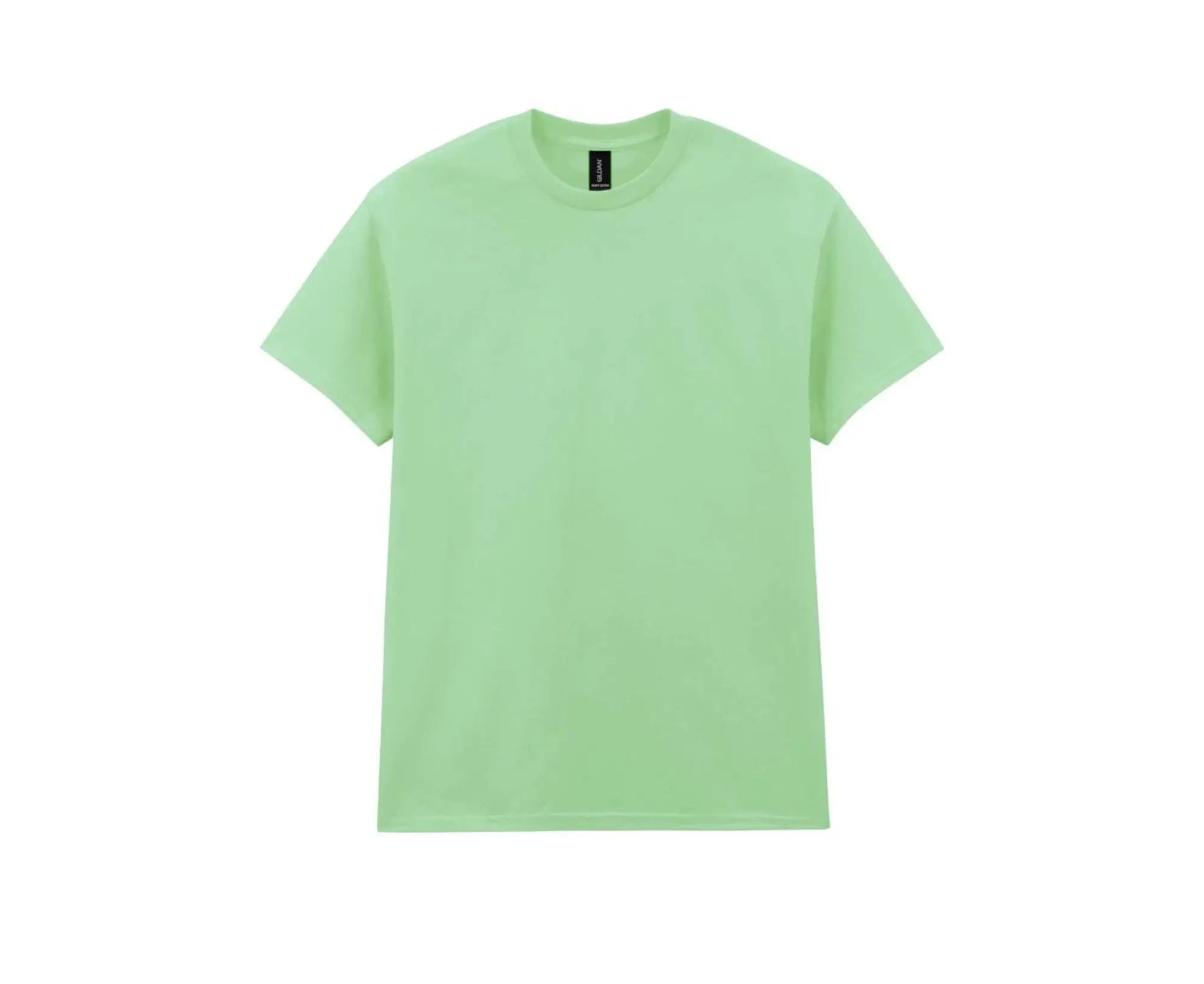 GI5000 | Heavy Cotton™ Adult T-Shirt Mint Green